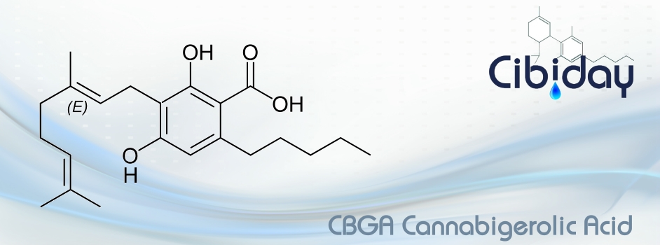 CBGA Cannabigerolic acid